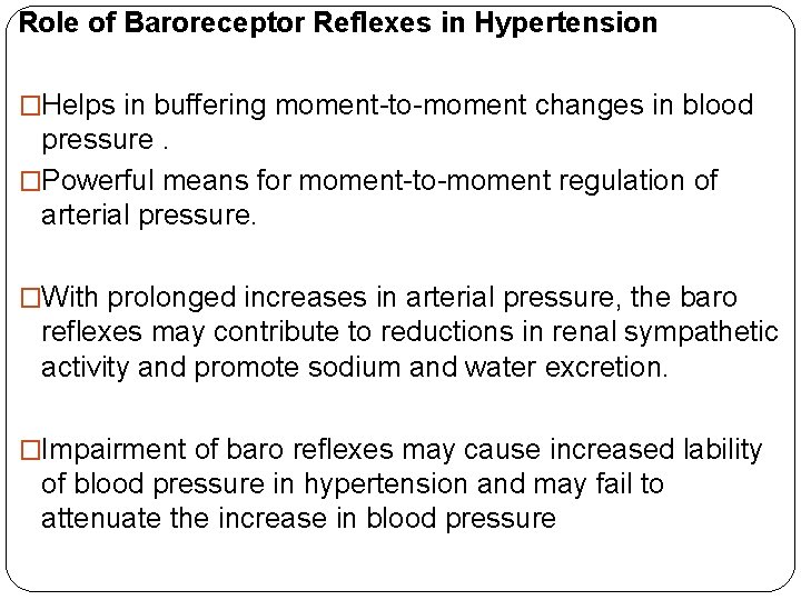 Role of Baroreceptor Reflexes in Hypertension �Helps in buffering moment-to-moment changes in blood pressure.