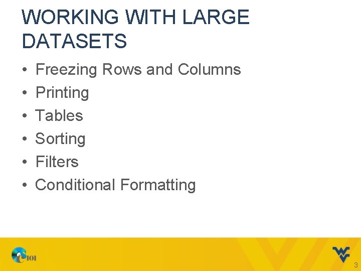 WORKING WITH LARGE DATASETS • • • Freezing Rows and Columns Printing Tables Sorting