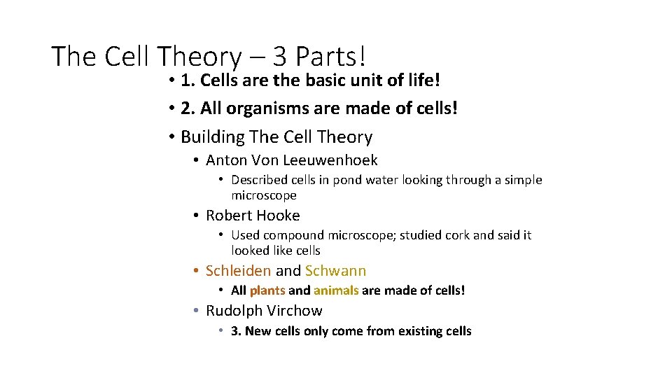 Cell Structure and Function NC Essential Standards Structure