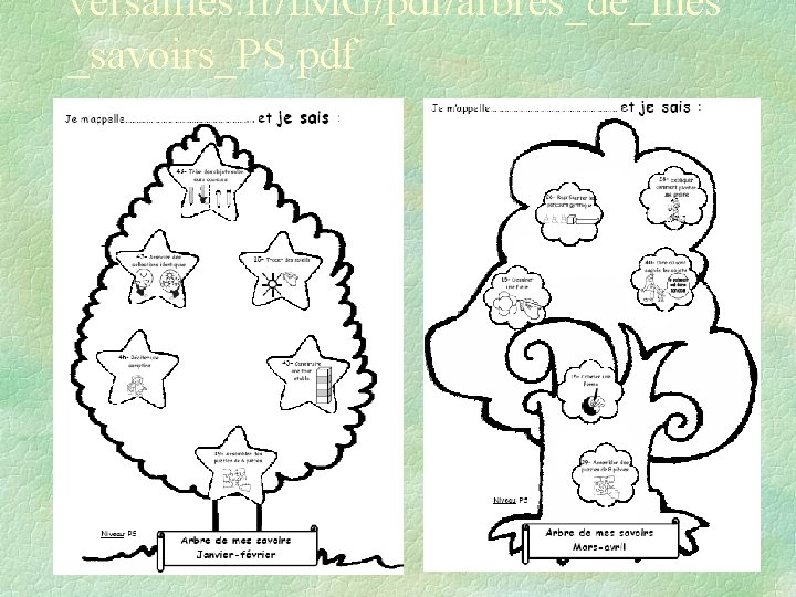 versailles. fr/IMG/pdf/arbres_de_mes _savoirs_PS. pdf 