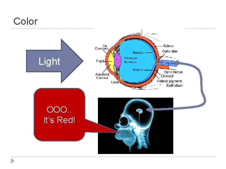 Color Light OOO. . It’s Red! 