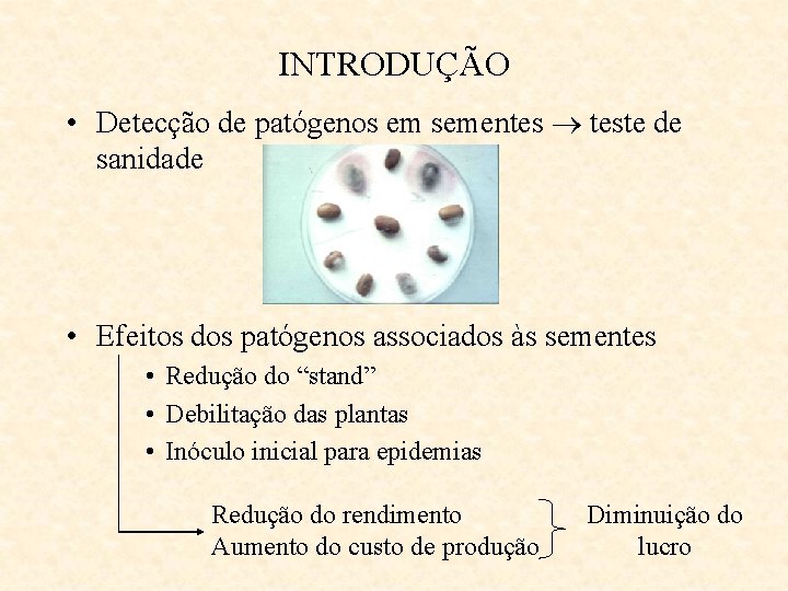 INTRODUÇÃO • Detecção de patógenos em sementes teste de sanidade • Efeitos dos patógenos