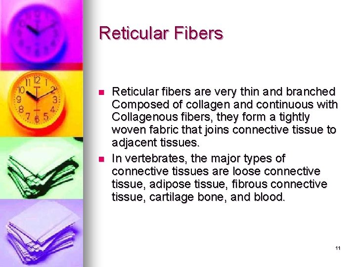 Reticular Fibers n n Reticular fibers are very thin and branched Composed of collagen Reticular Fibers n n Reticular fibers are very thin and branched Composed of collagen