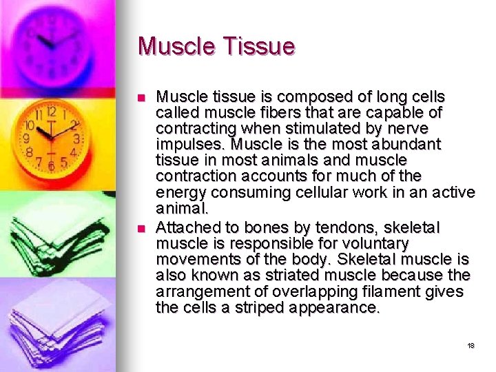 Muscle Tissue n n Muscle tissue is composed of long cells called muscle fibers Muscle Tissue n n Muscle tissue is composed of long cells called muscle fibers