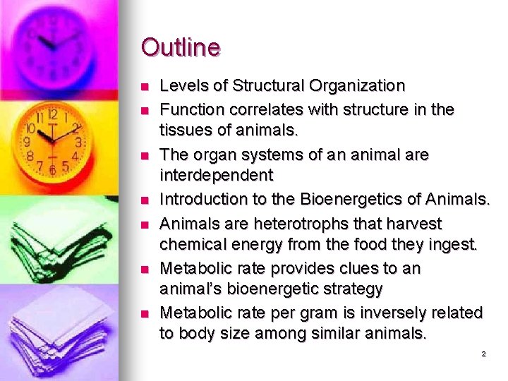 Outline n n n n Levels of Structural Organization Function correlates with structure in Outline n n n n Levels of Structural Organization Function correlates with structure in