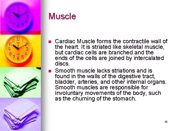 Muscle n n Cardiac Muscle forms the contractile wall of the heart. It is Muscle n n Cardiac Muscle forms the contractile wall of the heart. It is