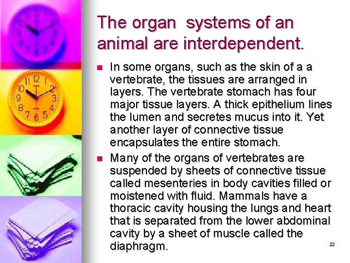 The organ systems of an animal are interdependent. n n In some organs, such The organ systems of an animal are interdependent. n n In some organs, such