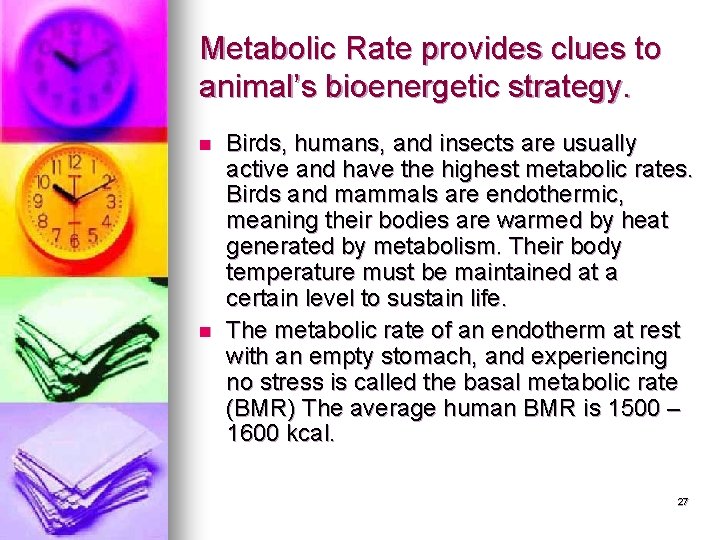 Metabolic Rate provides clues to animal’s bioenergetic strategy. n n Birds, humans, and insects Metabolic Rate provides clues to animal’s bioenergetic strategy. n n Birds, humans, and insects