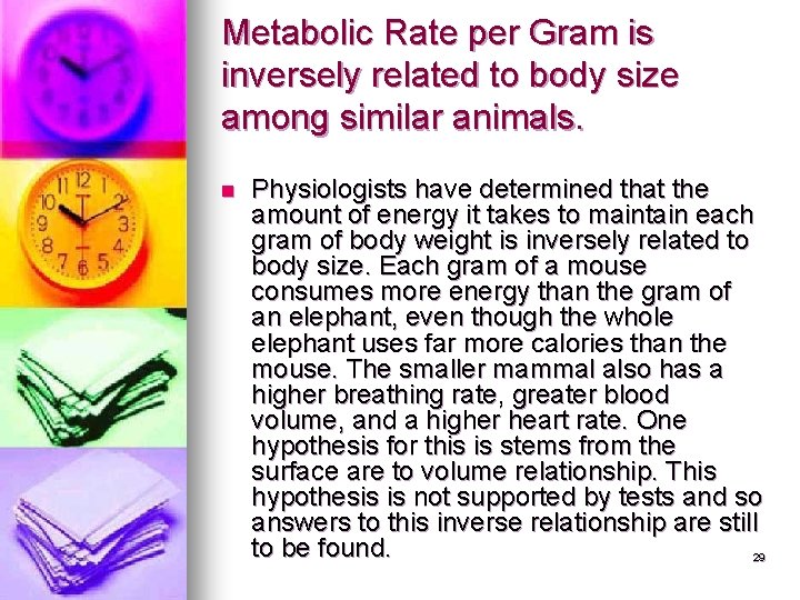 Metabolic Rate per Gram is inversely related to body size among similar animals. n Metabolic Rate per Gram is inversely related to body size among similar animals. n