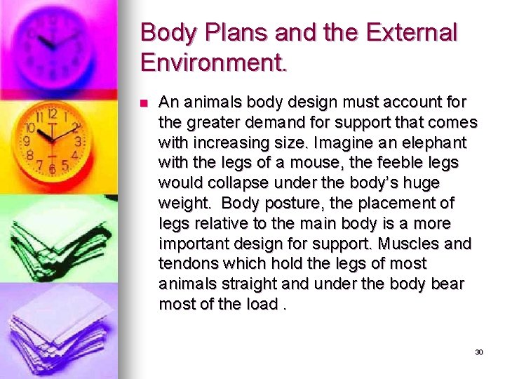 Body Plans and the External Environment. n An animals body design must account for Body Plans and the External Environment. n An animals body design must account for