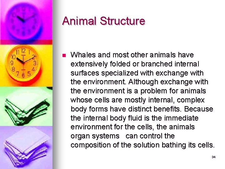 Animal Structure n Whales and most other animals have extensively folded or branched internal Animal Structure n Whales and most other animals have extensively folded or branched internal