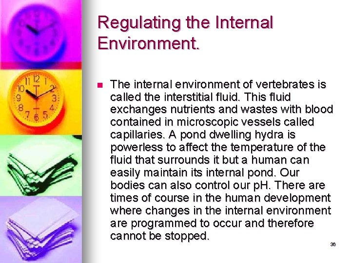 Regulating the Internal Environment. n The internal environment of vertebrates is called the interstitial Regulating the Internal Environment. n The internal environment of vertebrates is called the interstitial
