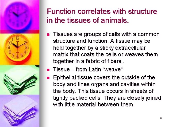 Function correlates with structure in the tissues of animals. n n n Tissues are Function correlates with structure in the tissues of animals. n n n Tissues are