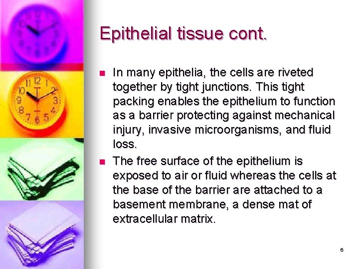 Epithelial tissue cont. n n In many epithelia, the cells are riveted together by Epithelial tissue cont. n n In many epithelia, the cells are riveted together by