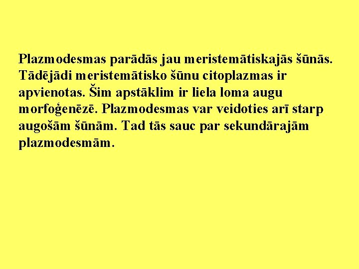 Plazmodesmas parādās jau meristemātiskajās šūnās. Tādējādi meristemātisko šūnu citoplazmas ir apvienotas. Šim apstāklim ir