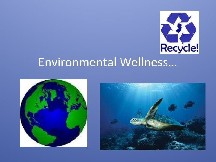 Environmental Wellness… 