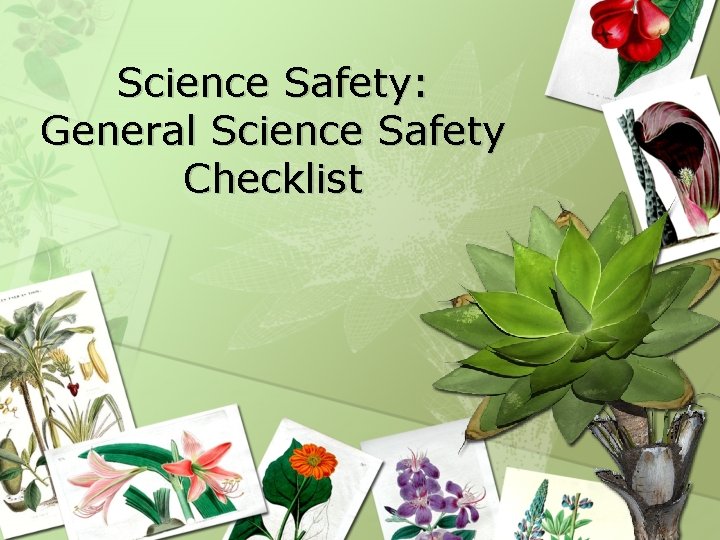 Science Safety: General Science Safety Checklist 