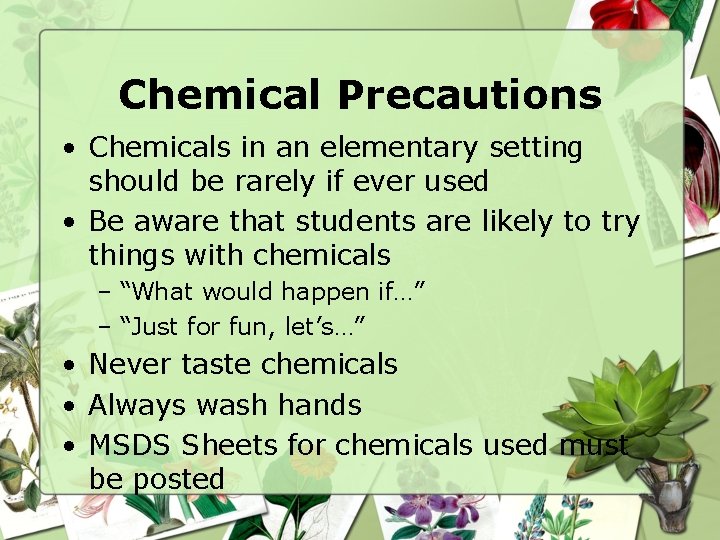 Chemical Precautions • Chemicals in an elementary setting should be rarely if ever used