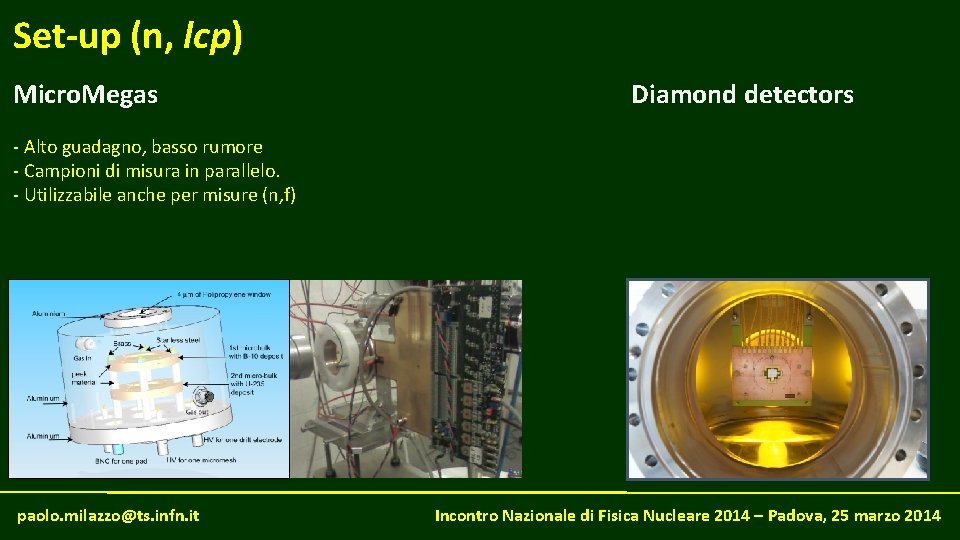 Set-up (n, lcp) Micro. Megas Diamond detectors - Alto guadagno, basso rumore - Campioni