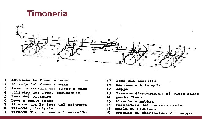 Timoneria 