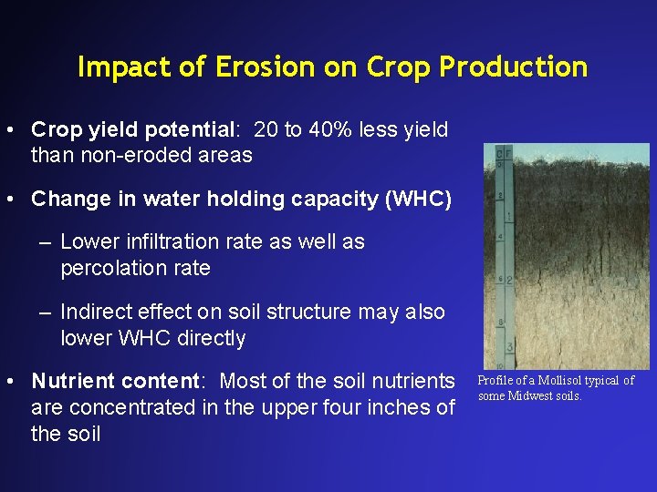 Impact of Erosion on Crop Production • Crop yield potential: 20 to 40% less Impact of Erosion on Crop Production • Crop yield potential: 20 to 40% less