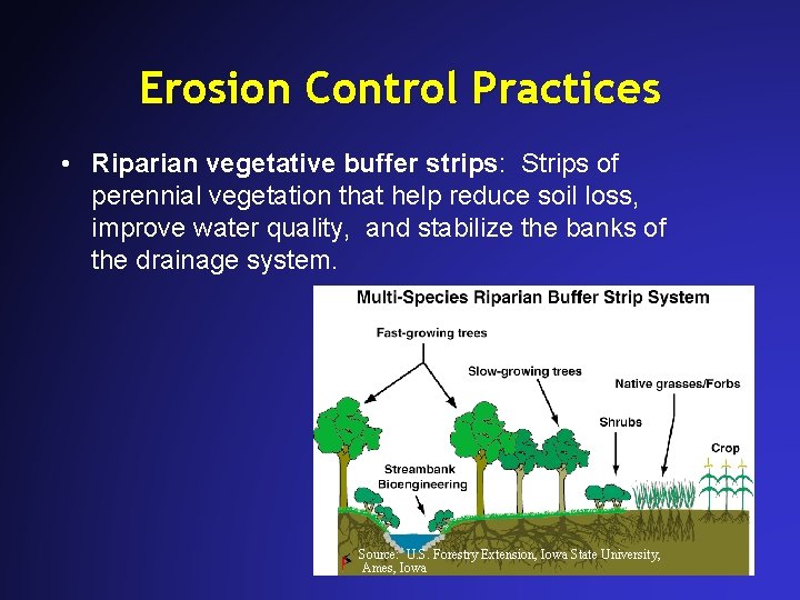 Erosion Control Practices • Riparian vegetative buffer strips: Strips of perennial vegetation that help Erosion Control Practices • Riparian vegetative buffer strips: Strips of perennial vegetation that help