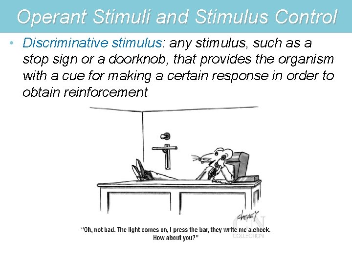 Operant Stimuli and Stimulus Control • Discriminative stimulus: any stimulus, such as a stop