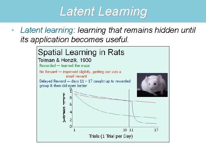 Latent Learning • Latent learning: learning that remains hidden until its application becomes useful.