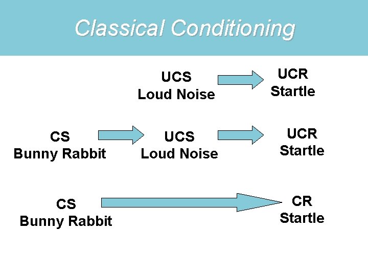 Classical Conditioning UCS Loud Noise CS Bunny Rabbit UCS Loud Noise UCR Startle 