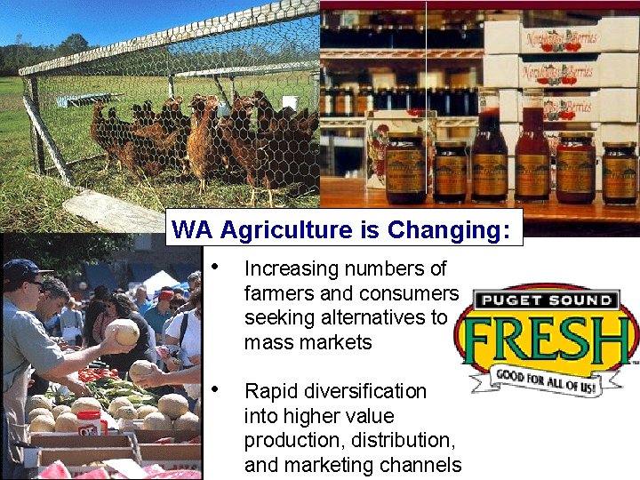 WA Agriculture is Changing: • Increasing numbers of farmers and consumers seeking alternatives to