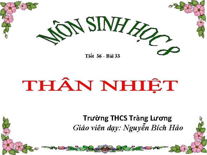 Tiết 36 - Bài 33 Trường THCS Tràng Lương Giáo viên dạy: Nguyễn Bích