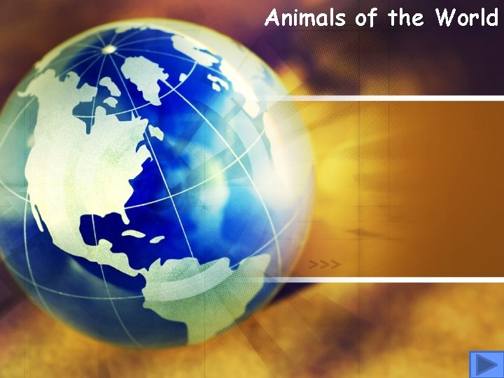 Animals of the World 