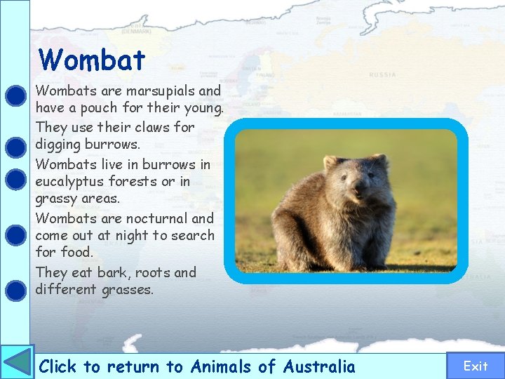 Wombats are marsupials and have a pouch for their young. They use their claws