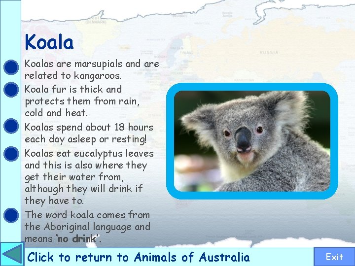 Koalas are marsupials and are related to kangaroos. Koala fur is thick and protects
