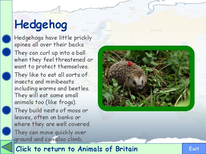 Hedgehogs have little prickly spines all over their backs They can curl up into