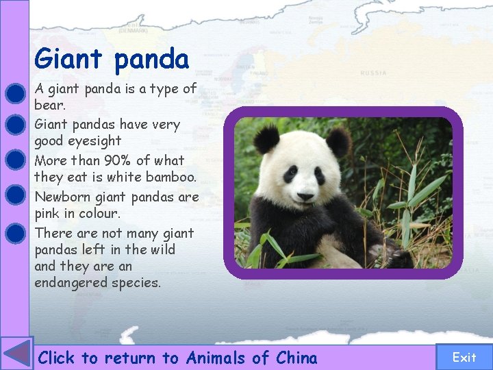 Giant panda A giant panda is a type of bear. Giant pandas have very