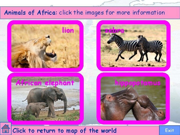 Animals of Africa: click the images for more information lion African elephant zebra hippopotamus