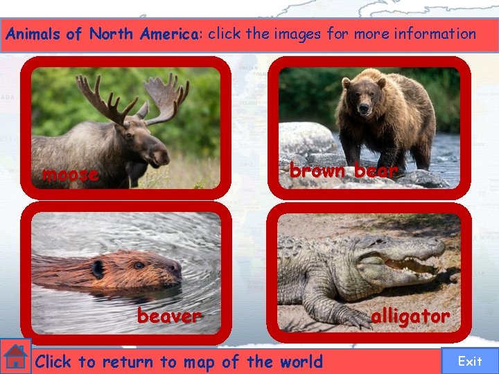 Animals of North America: click the images for more information brown bear moose beaver