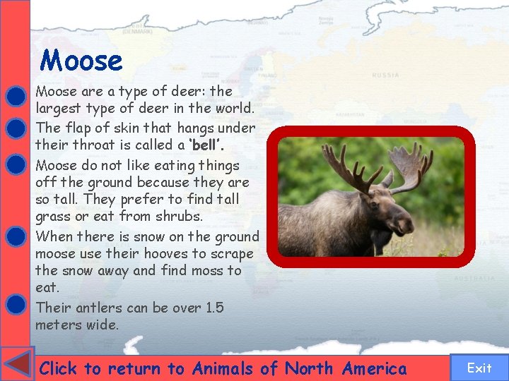Moose are a type of deer: the largest type of deer in the world.