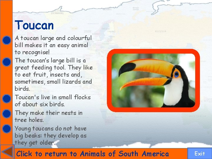 Toucan A toucan large and colourful bill makes it an easy animal to recognise!