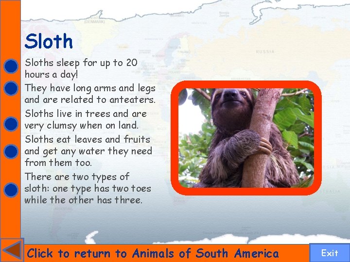 Sloths sleep for up to 20 hours a day! They have long arms and