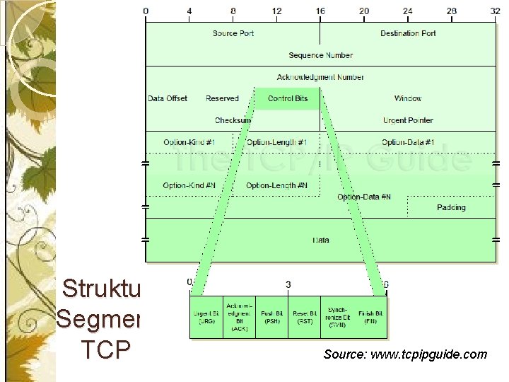 Struktur Segment TCP Source: www. tcpipguide. com 