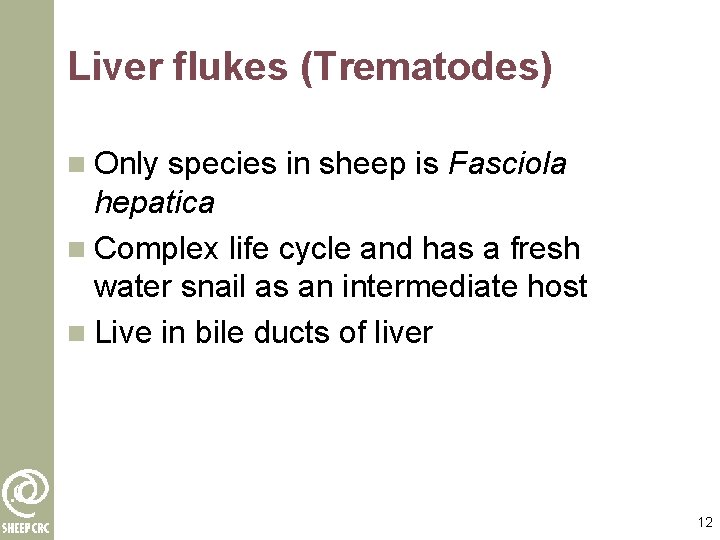 Liver flukes (Trematodes) n Only species in sheep is Fasciola hepatica n Complex life