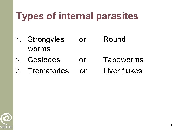 Types of internal parasites Strongyles worms 2. Cestodes 3. Trematodes 1. or Round or
