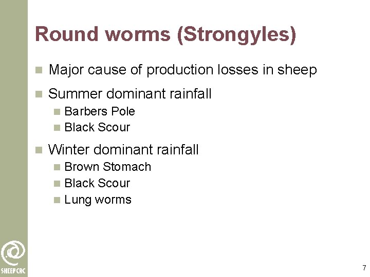 Round worms (Strongyles) n Major cause of production losses in sheep n Summer dominant