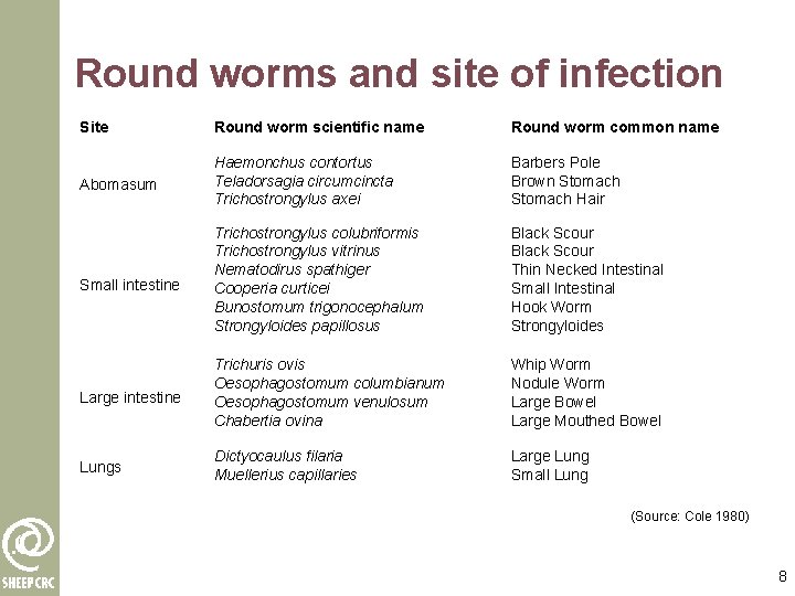 Round worms and site of infection Site Round worm scientific name Round worm common