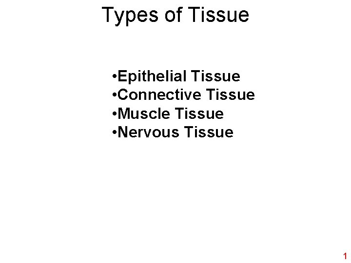 Types of Tissue • Epithelial Tissue • Connective Tissue • Muscle Tissue • Nervous
