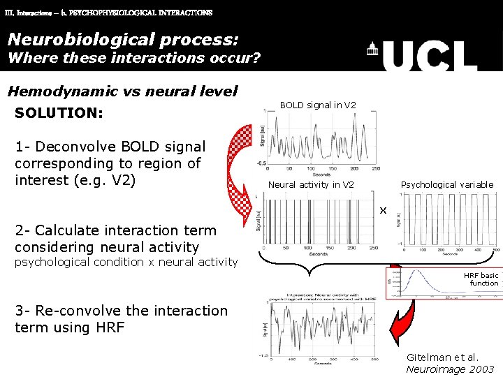 III. Interactions – b. PSYCHOPHYSIOLOGICAL INTERACTIONS Neurobiological process: Where these interactions occur? Hemodynamic vs