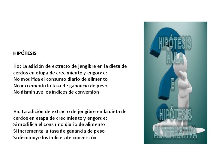 HIPÓTESIS Ho: La adición de extracto de jengibre en la dieta de cerdos en