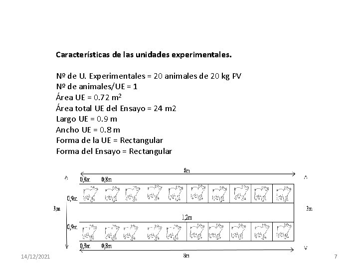 Características de las unidades experimentales. Nº de U. Experimentales = 20 animales de 20